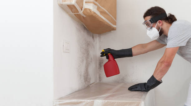 Professional Crawl Space Mold Removal technician working in Hamilton, GA