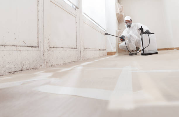 24/7 Emergency Crawl Space Mold Removal experts in Hamilton, GA