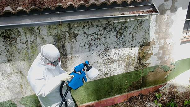 Top rated local Crawl Space Mold Removal specialists in Hamilton, GA